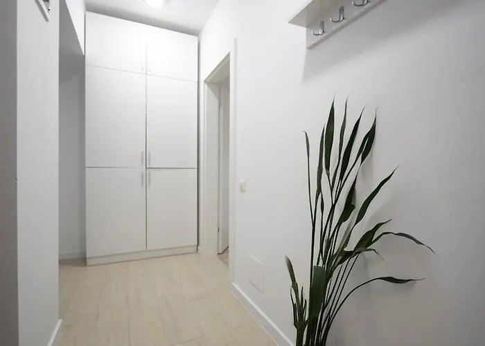 Vs * ブカレスト