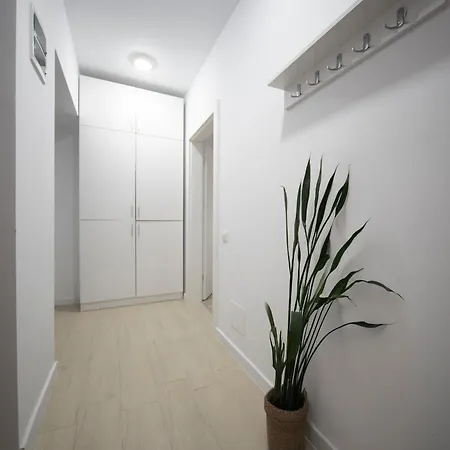 Vs * Бухарест